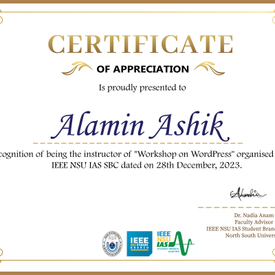 instructor at IEEE workshop